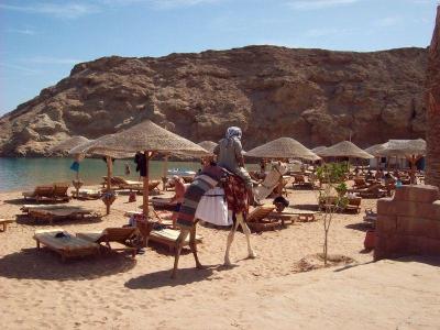 šnorchlování v Makadi