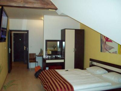 V zimě do termálů