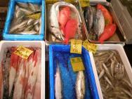 Rybí trh