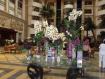 Prohlídka hotelu Intercontinental Abu Soma Resort = Palm Royal Brach***** 