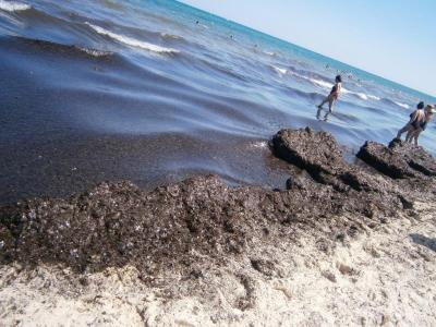 Tento hotel vás nenadchne a ani neurazí.