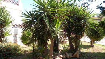 Prohlídka hotelu MIMOSA***