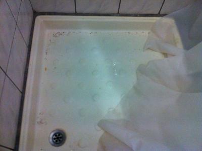 Lesk a bíba kurtizán