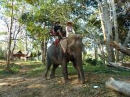 Jízda na slonu byla prostě super! Doporučuji všem, kteří mají v plánu návštěvu Thajska