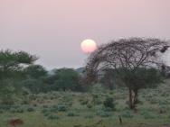 Východ slunce nad africkou savanou, není to nádhera?