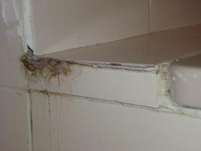 Tento hotel už nikdy více!