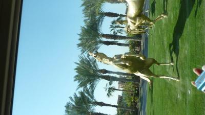 Prehliadka hotela Mina A ´Salam - Madinat Jumeirah