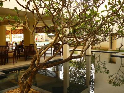 Prohlídka hotelu Mermaid ***