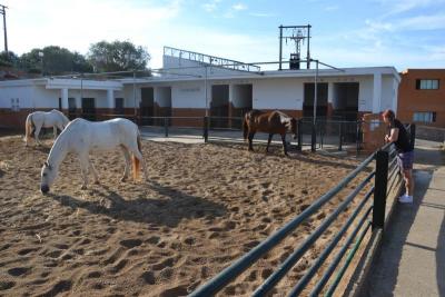 Místo mnoha možností 