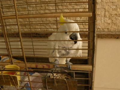 Prohlídka hotelu TOP