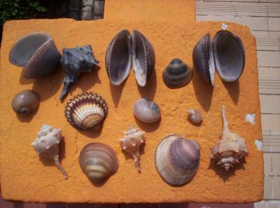 Dovolená na konci světa