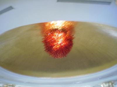 Prehliadka hotela Ela Quality Resort and Spa*****