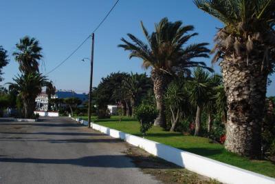 Líbilo, ale jednou stačilo