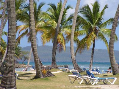 Exim Tours ve spolupráci s Travel Service - nikdy více! Hotel = super!