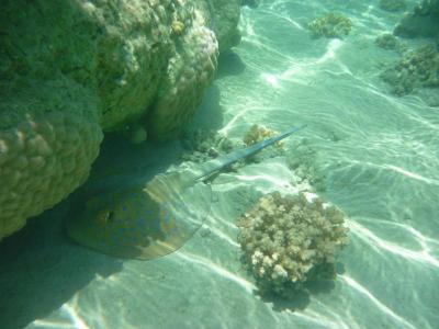 DOPORUČENÍ PRO PĚKNOU DOVOLENOU