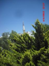 zeleň s mešitou