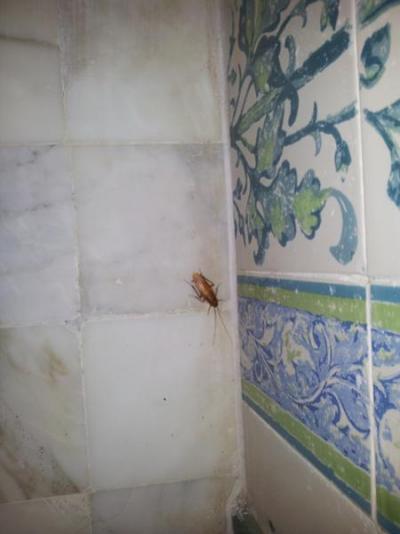 SOLARUS IMPERIAL PARK - PEKLO NA ZEMI !!! 