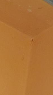 Pavúk v kúpeľni 