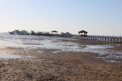 Pro velmi nenáročnou klientelu