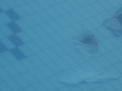 Katastrofická dovolena