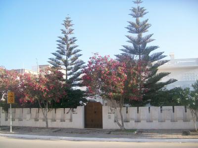 Vzteky musím reagovat na recenzi paní IVETY!!!!!!!