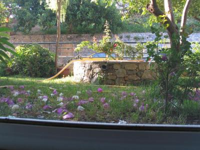 Dedalos Beach Hotel, Sfakaki, Kréta – nejhorší dovolená