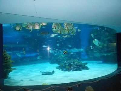 Tropikárium Budapešť