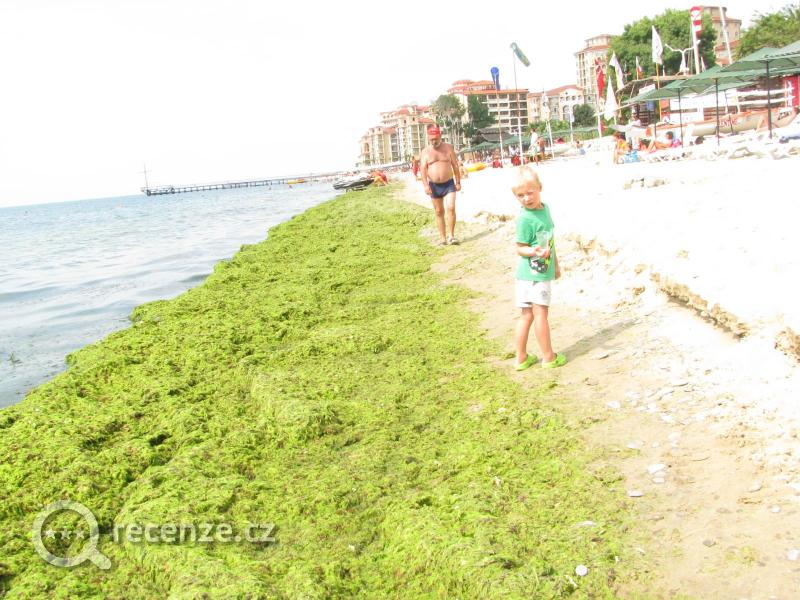 Řasy na pláži Elenite, které byly uklizeny až za 3 dny