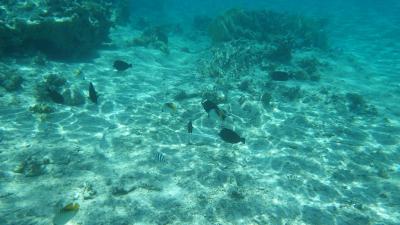 Super šnorchlování