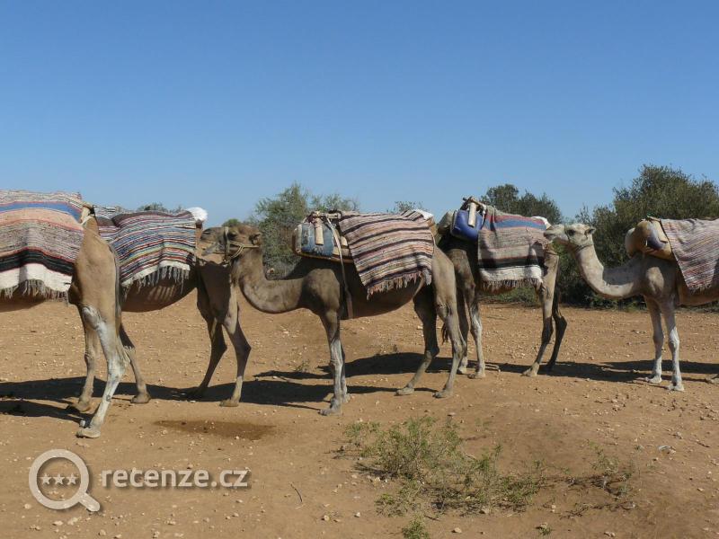 Výlet - karavana, vyjížďka po poušti na velbloudech. Pěkné.
