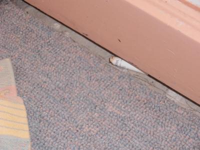 průměr , určitě ne 4 hvězdičky