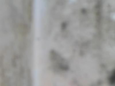 z firo tourem už nikdy