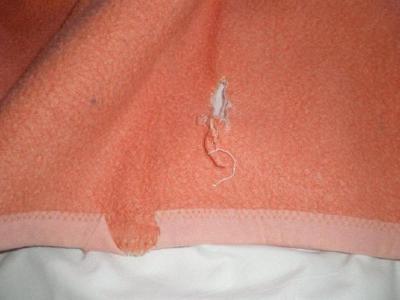 Nejhorší dovolená