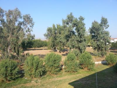 Báječná dovolená