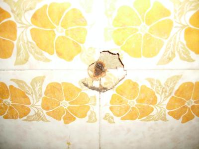 Zlý sen loňského léta:-(((((