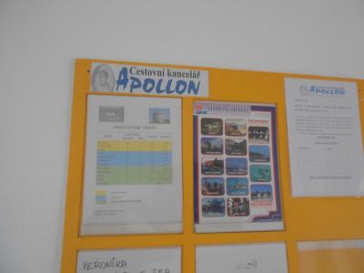 CK Apollon - Chalkidiki - Flora