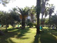 Palmová zahrada