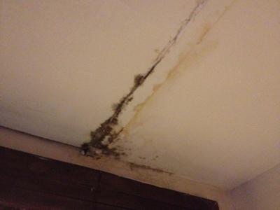 Hrůza, nikdy více!!!