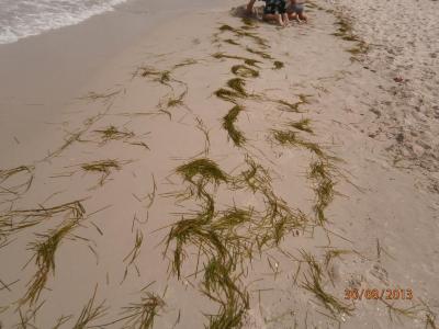 Byly lepší dovolený v Tunisku