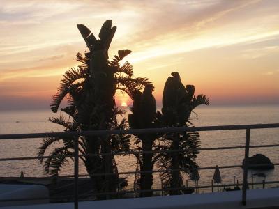 Ischia, Forio - ALBATROS