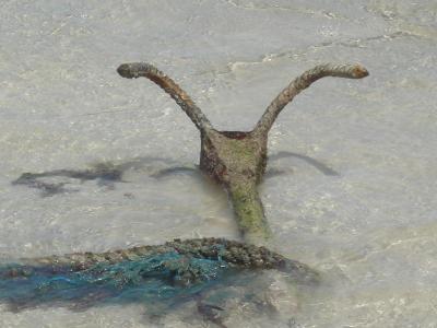 Hotel Odyssée Resort & Thalasso ****,Zarzis