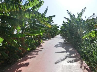 moc hezká dovolená