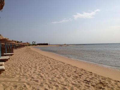 První dojmy byly hrozné