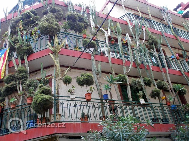 Kaktusový dům v centru města.