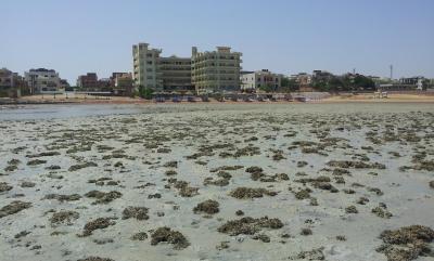 Klidný týden v příjemném prostředí