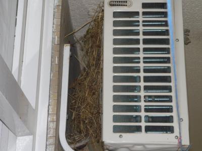 CK KOVOTOURPLUS "CK ROKU 2011,2012,2013" UŽ NIKDY !!!!!