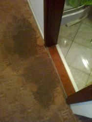 Zde je patrný únik vody ze sprchového koutu pod prahem a promáčený koberec v pokoji. Mokrá skvrna se den ode dne zvětšovala.