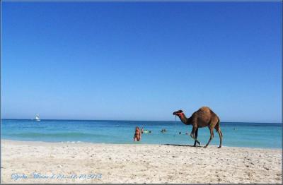 Opět krásná dovolená na Djerbě-hotel Meninx*