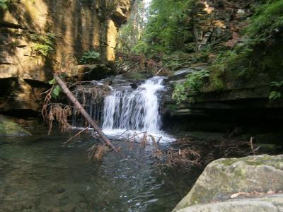 Penzion U plané jabloně