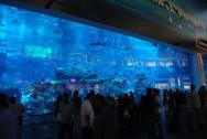 Dubai Mall Dubai